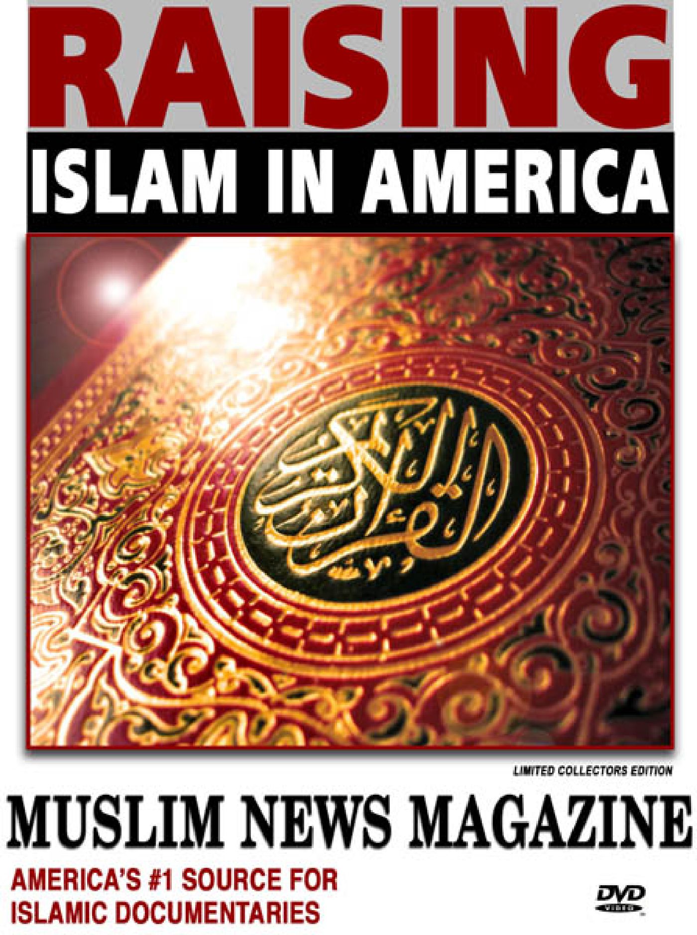Raising Islam in America